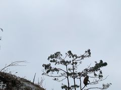 -太阳湾风景区