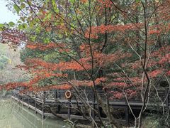 -白马涧龙池景区