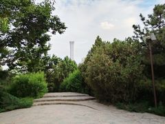 -团结湖公园