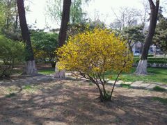 android_upload_pic-辽宁大学(崇山校区)