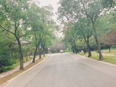 -江苏三台山国家森林公园