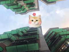 -来回·咖啡(天河南店)