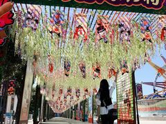 -厦门方特梦幻王国