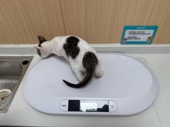 -瑞派中心宠物医院·CT·核磁·神经专科