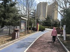 -滨河世纪广场公园