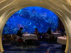 -迪拜帆船酒店海底餐厅