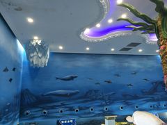 -芜湖新华联大白鲸海洋公园