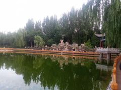 -金城公园