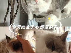 -青龙湖公园