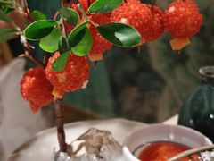 -奔跑吧陕菜·盛世长安(民乐园万达店)