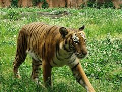 -杭州野生动物世界