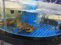 水产区-盱眙小龙虾(天虹店)
