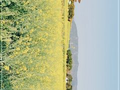 -光明小镇欢乐田园