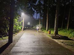 -金山植物公园