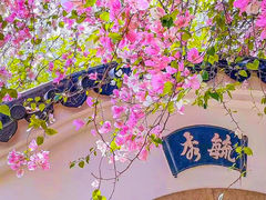 -深圳国际园林花卉博览园