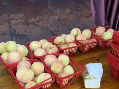 -宾湖农庄·农场特色(太湖龙之梦店)