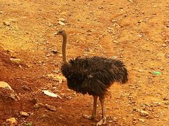 -泉州海丝野生动物世界