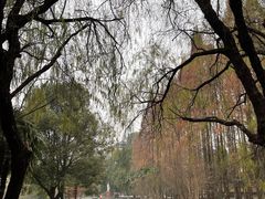 -东坡赤壁风景名胜区