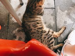 -怂嘴冷锅串串&乐山烧烤(中赢康康谷店)