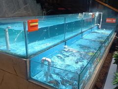 -饭怕鱼(阳光100店)