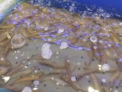 -澜悦港海鲜体验主题餐厅