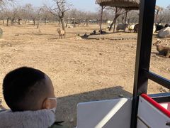 -西安秦岭野生动物园