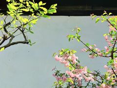 -拙政园