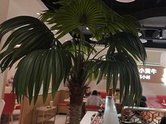 -潮正和潮汕牛肉火锅·老字号(番禺万达店)