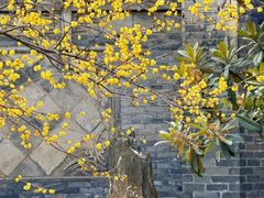 -西安化觉巷清真大寺