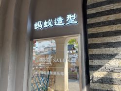 -蚂蚁造型沙龙