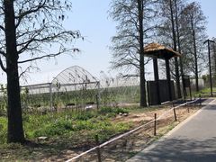 -广富林郊野公园