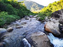 -海南热带雨林国家公园吊罗山景区