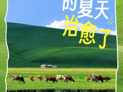 -呼伦贝尔大草原