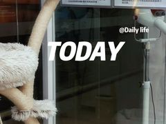 -爱洗澡的猫(天河路店)