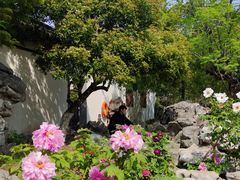 -常熟方塔园
