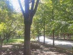 -长白岛森林公园