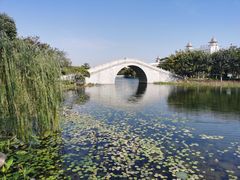 -映月湖公园