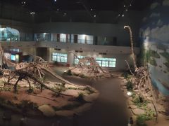 -自贡恐龙博物馆