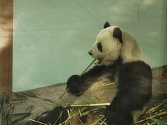 -青藏高原野生动物园