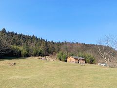 -武陵山森林公园