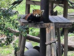 -沈阳森林动物园