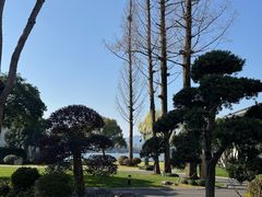 -杭州西湖柳莺里酒店