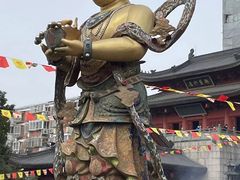 -上海东林寺(金山区)