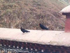 -比如骷髅墙景区