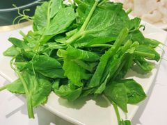 -四川简阳羊肉汤火锅(金台路店)