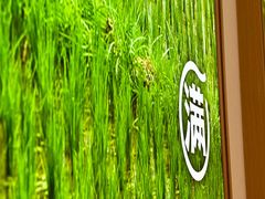 -小满手工粉(北京顺义华联店)