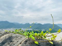 -台州府城(东湖)