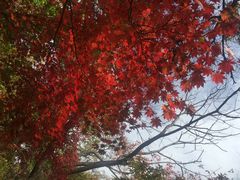 -九鼎铁刹山风景区