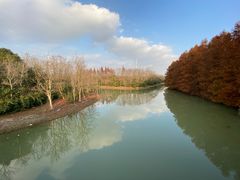 -上海海湾国家森林公园