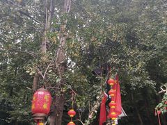 -国生茶庄·地道农家菜团建活动